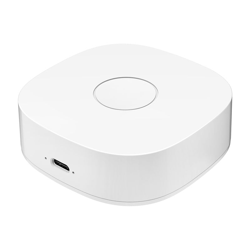 Smart home WS2GW-R WiFi_1