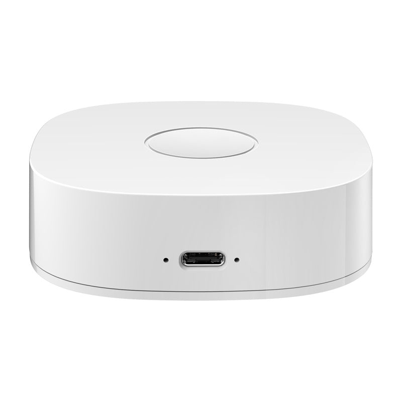 Smart home WS2GW-R WiFi_2