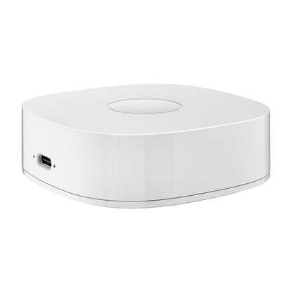 Smart home WS2GW-R WiFi_3