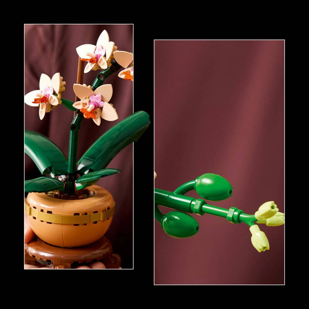 LEGO Botanical: Orquídea em Miniatura | Idades 18+ | 274 Peças | Item 10343