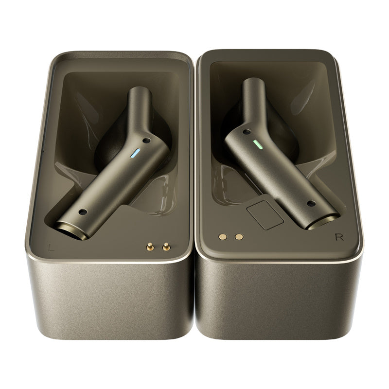 TIMEKETTLE W4 Translation Earbuds (Gold)_7