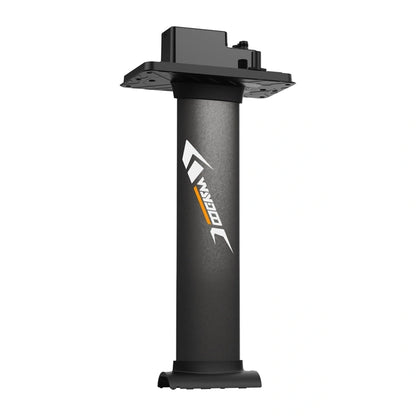 Mast for WAYDOO EVO 31" boards (79 cm)_0