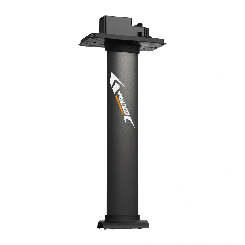 Mast for WAYDOO EVO 31" boards (79 cm)_1