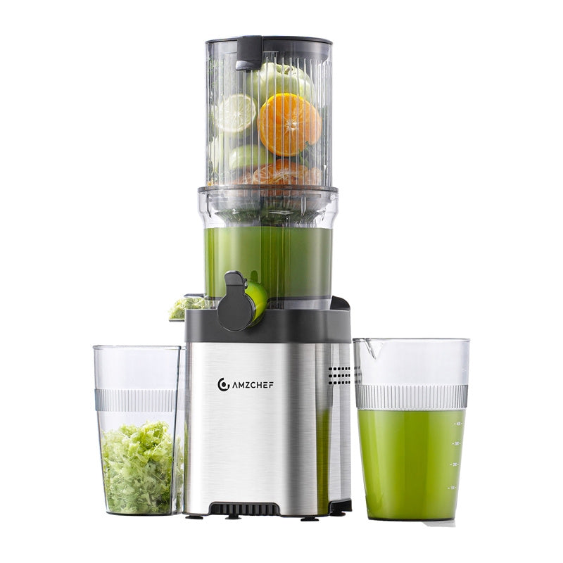 CE-ZM1902M-SV Slow Juicer (Silver)_0