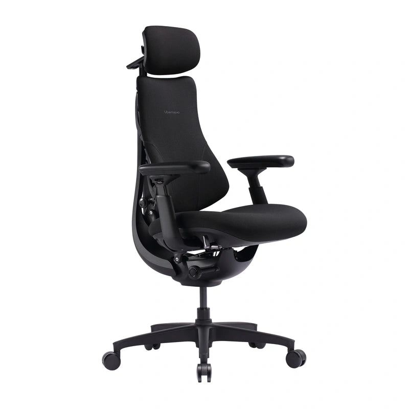 LiberNovo Omni SE 48 cm Ergonomic Chair (Black)_1
