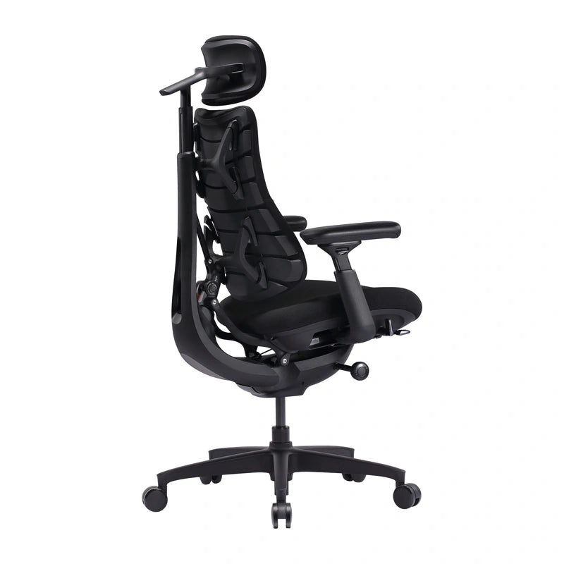 LiberNovo Omni SE 48 cm Ergonomic Chair (Black)_3
