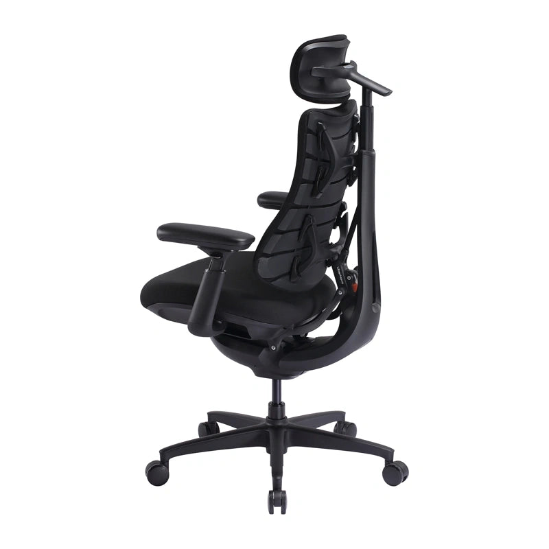 LiberNovo Omni SE 48 cm Ergonomic Chair (Black)_4