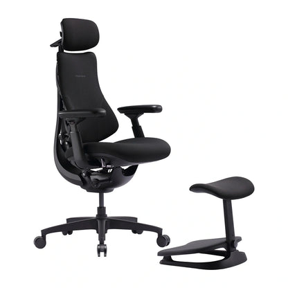 LiberNovo Omni SE 48 cm Ergonomic Chair (Black)_6