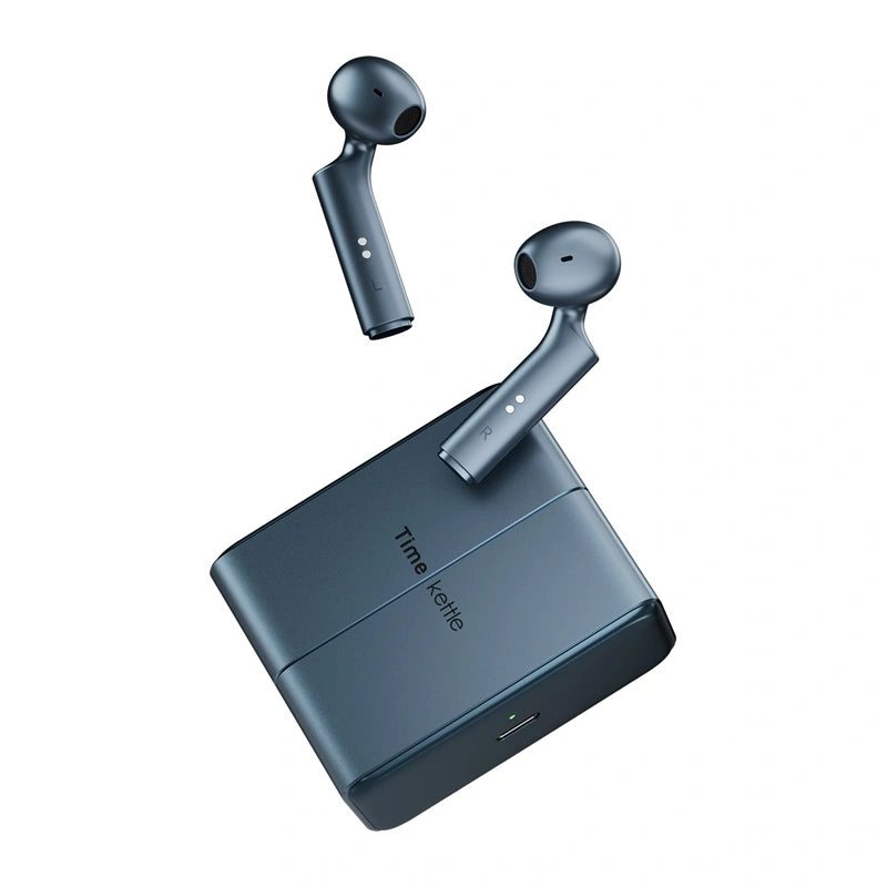 TimeKettle W4 Plus TWS Translation Earbuds (blue)_0