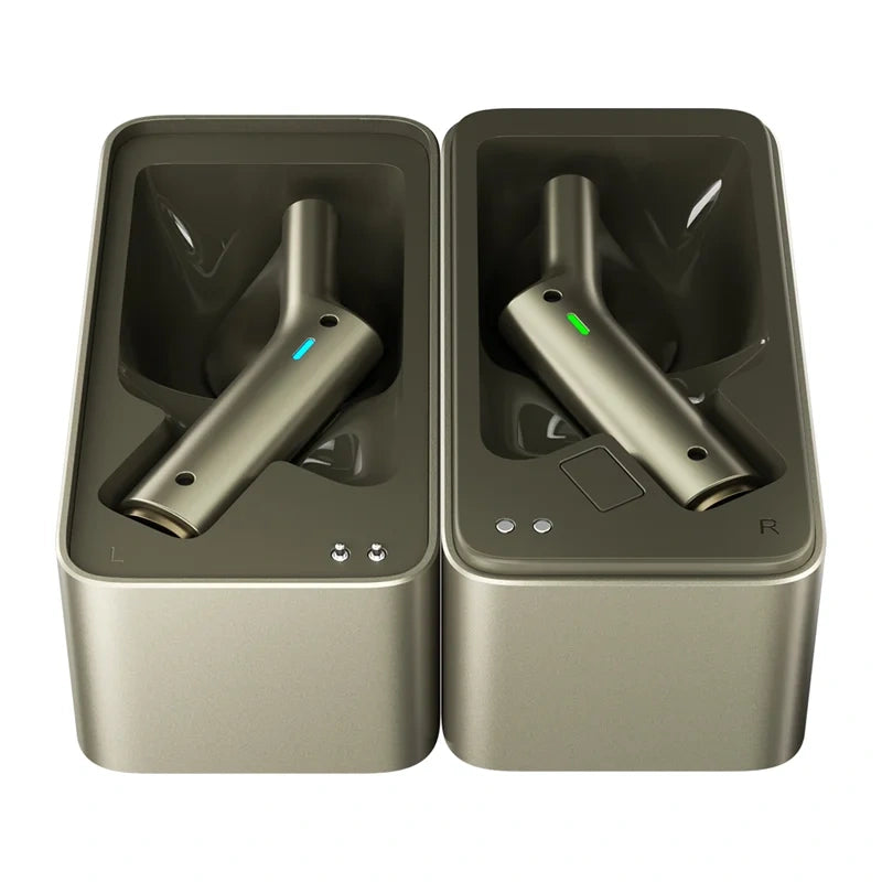 TimeKettle W4 Plus TWS Translation Earbuds (Gold)_7