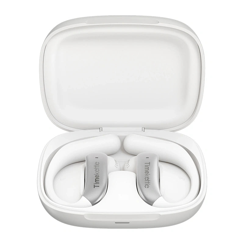 Translator Earbuds TimeKettle LiveTalk (Silver)_1