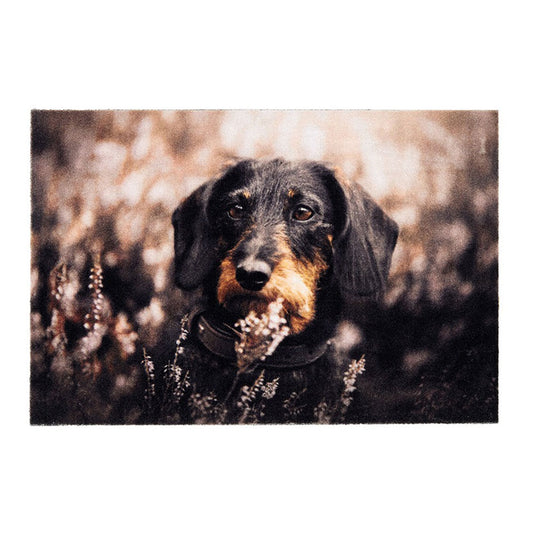 Tapete de interior, deco print, 100% poliamida, desenho cÃ£o, 40 x 60 cm_0