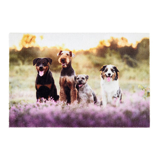 Tapete de interior, deco print, 100% poliamida, desenho grupo cÃ£es, 40 x 60 cm_0