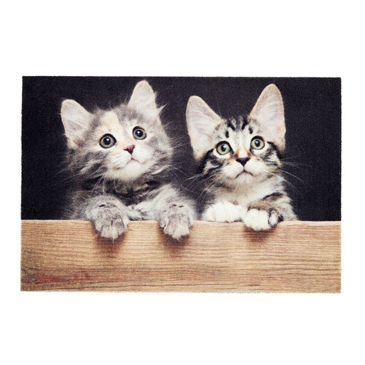 Tapete de interior, deco print, 100% poliamida, desenho gatos, 40 x 60 cm_0