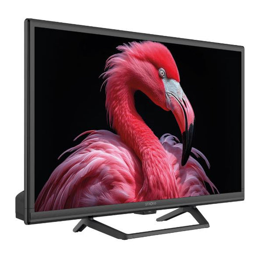 24" T2/S2 Google TV 12/220v_0