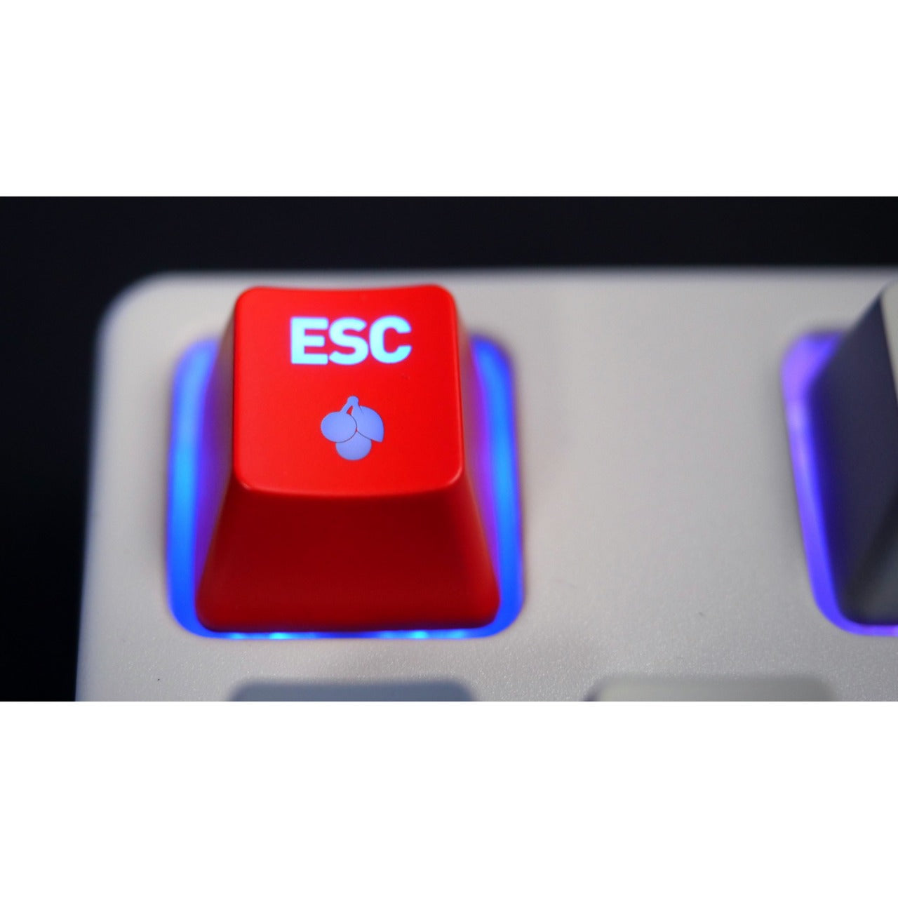 Teclado Gaming CHERRY XTRFY K4V2 TKL MX2A Red RGB Layout DE Cinza