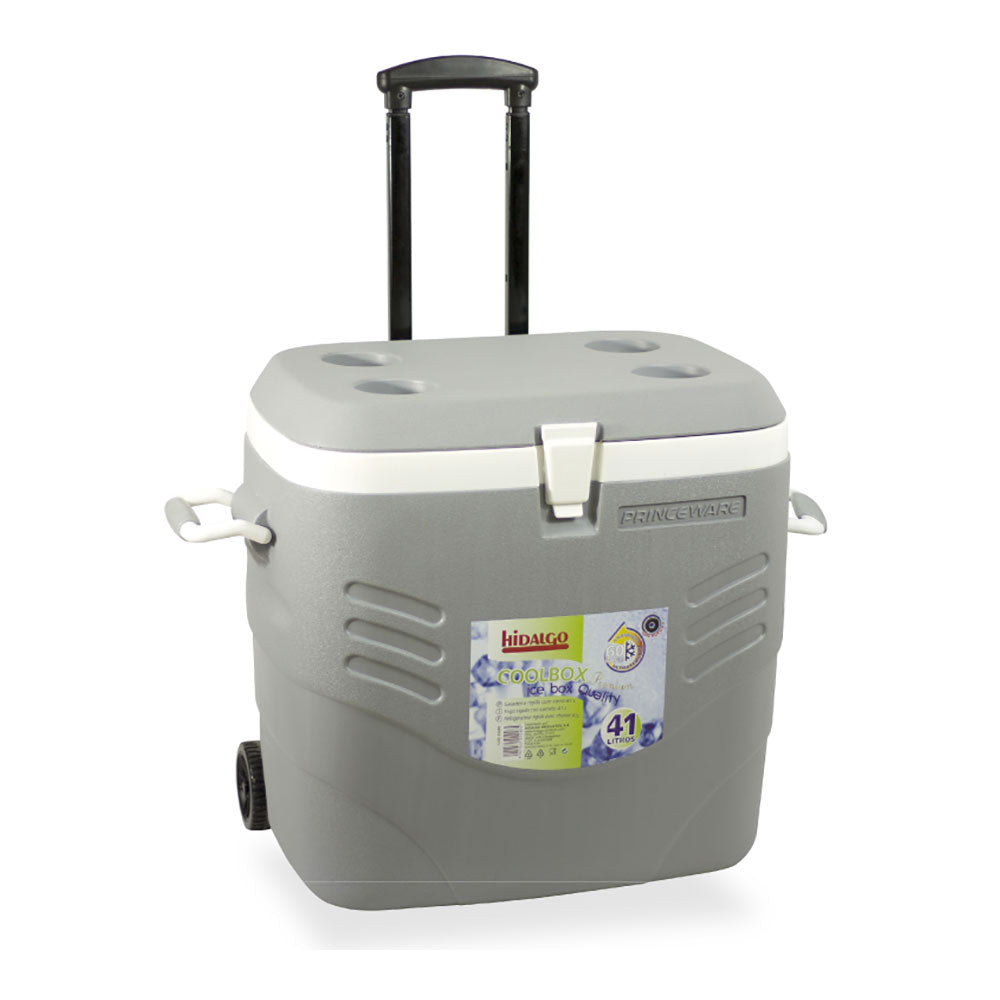 Geleira rÃ­gida premium 41l,cinzenta hidalgo_0