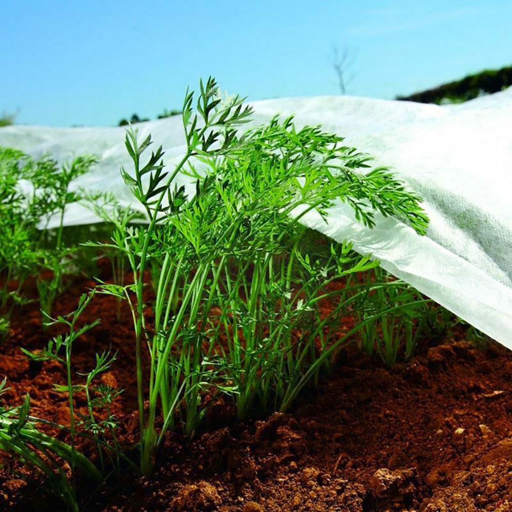 Tecido para proteÃ§Ã£o de cultivos-bobina 2x20m 30gr/mÂ² biotop garden_0