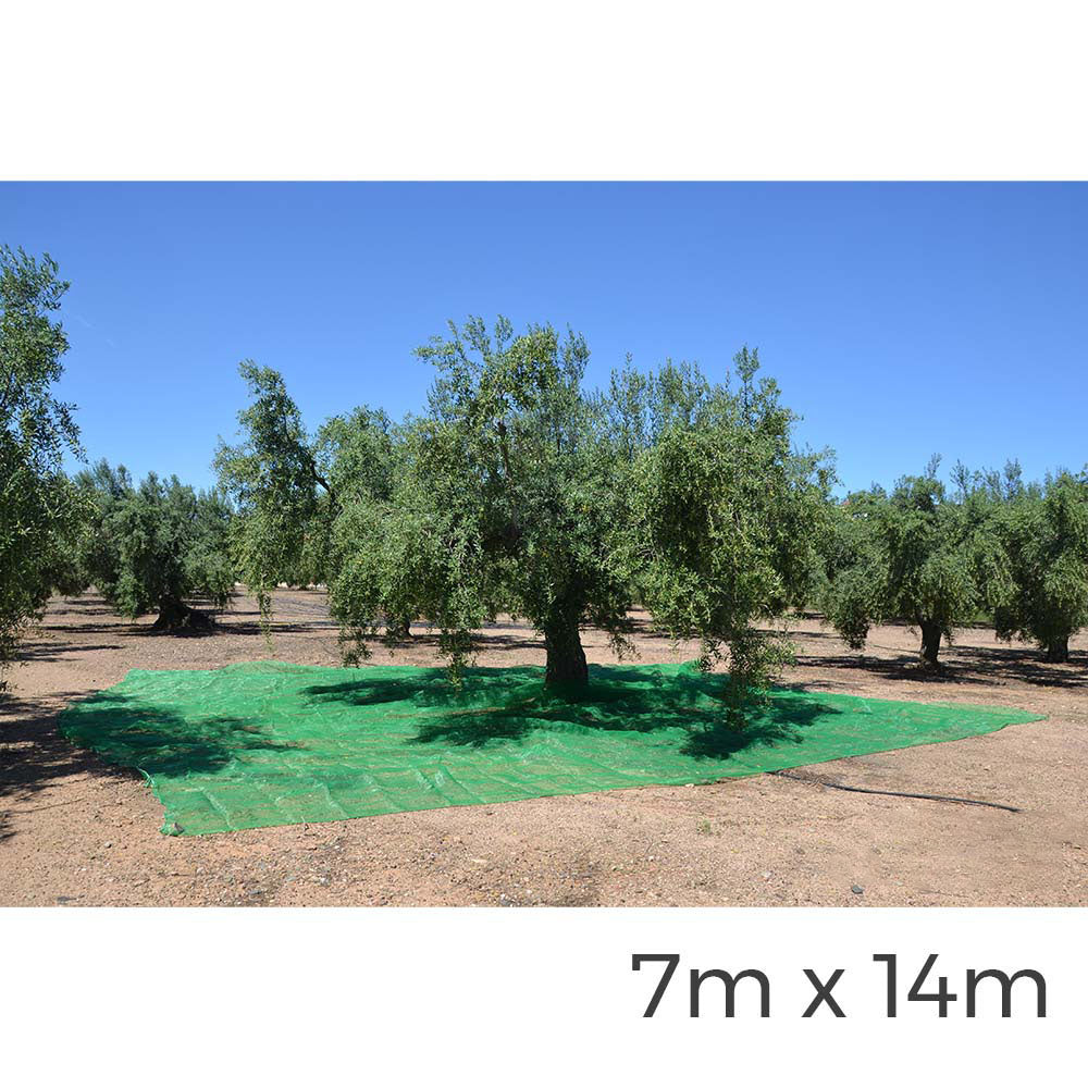 Manto para coleta de frutas 7x14m cor verde_0