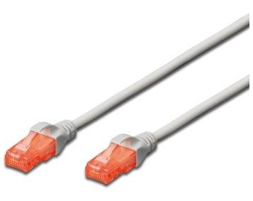 Ewent IM1024 cable de red Rojo 5 m Cat6 U/UTP (UTP)_1