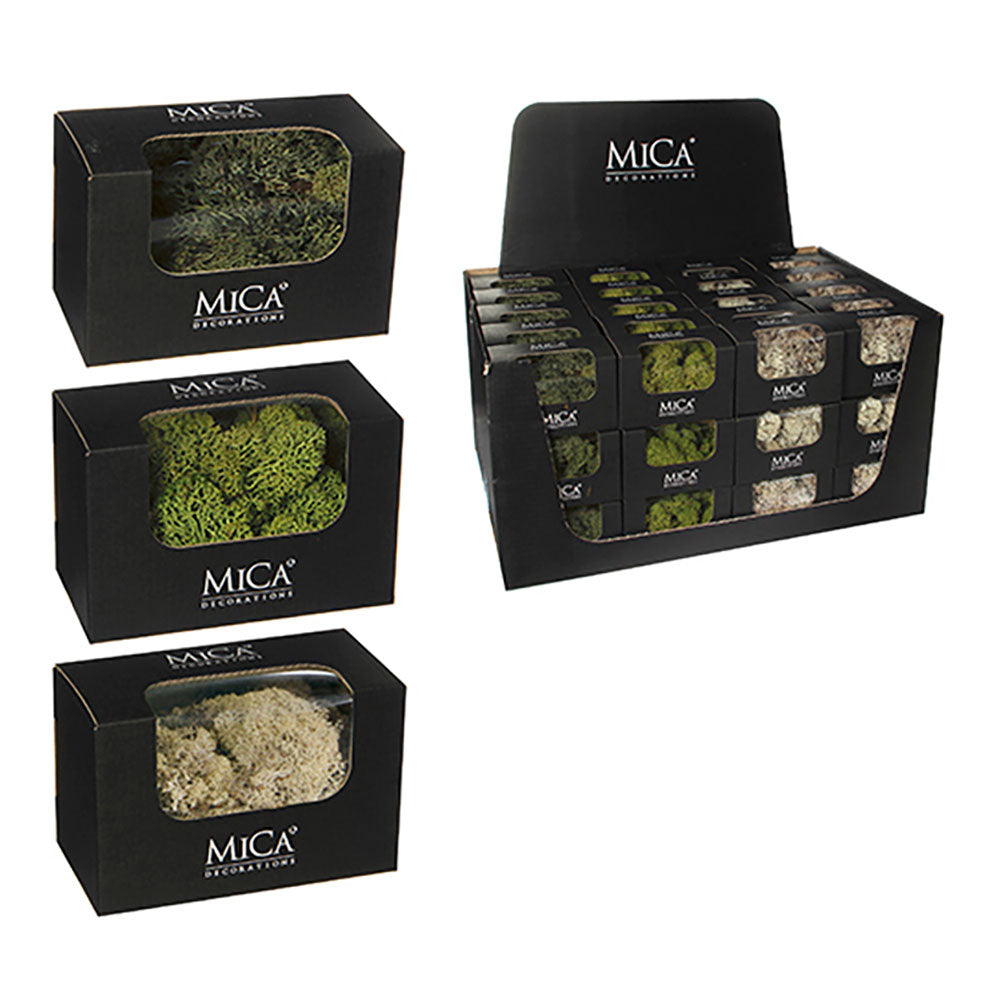 Plantas de musgo artificial sortidas. 50g_0