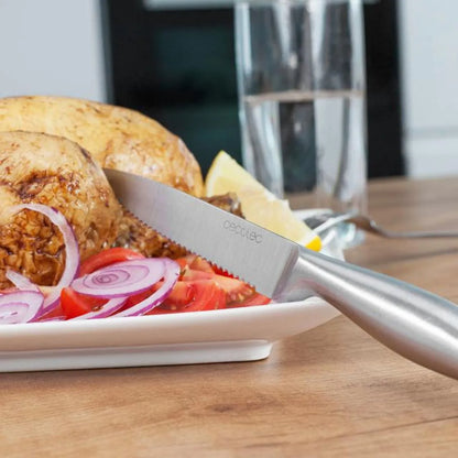 Conjunto de facas Cecotec 6 peças profissionais para carne