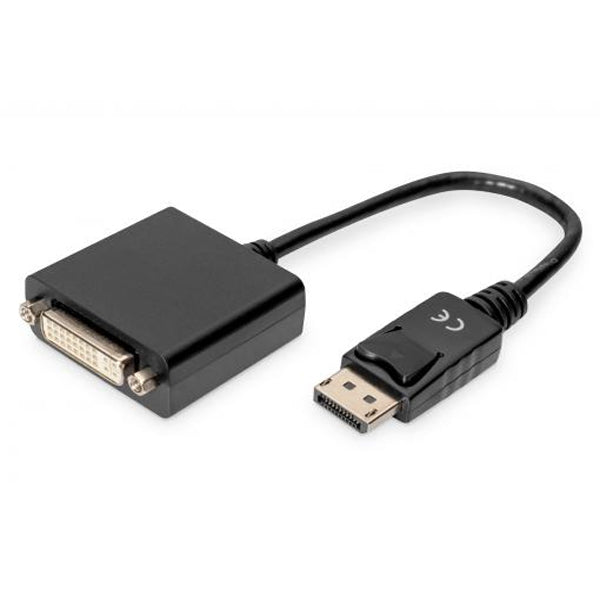 DisplayPort - DVI Adapter / Konverter_0