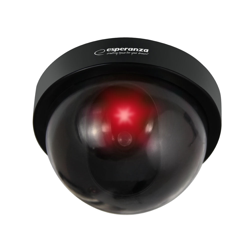ESPERANZA DUMMY MONITORING CAMERA GHOST_0