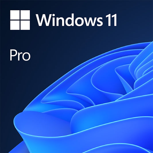 Licença Microsoft Windows 11 Pro OEM DVD / Preto_0