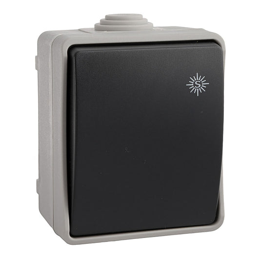 Interruptor bipolar 10a 250v m/20 solera (retractilado)_0