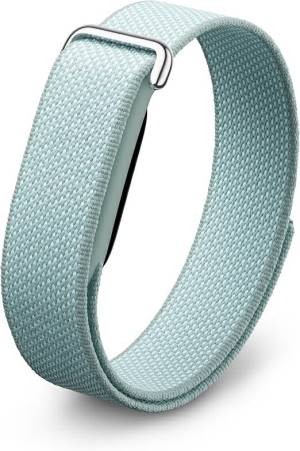 Google Fitbit Air Activity tracker Fog EU_0