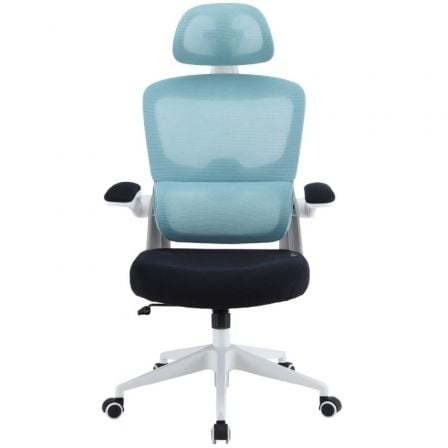 Silla Gaming Woxter Ergo/ Azul_0