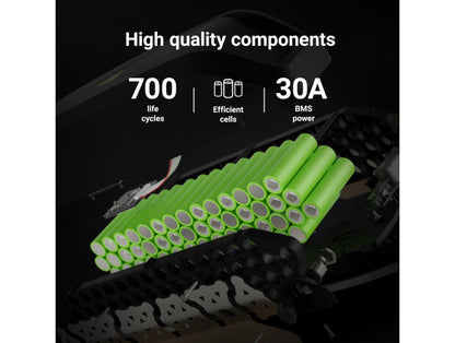 Green Cell® GC PowerMove E-Bike Battery 48V 14.5Ah Li-Ion Down Tube with Charger_4