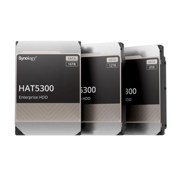 Festplatte Synology / HAT5300-12T_1