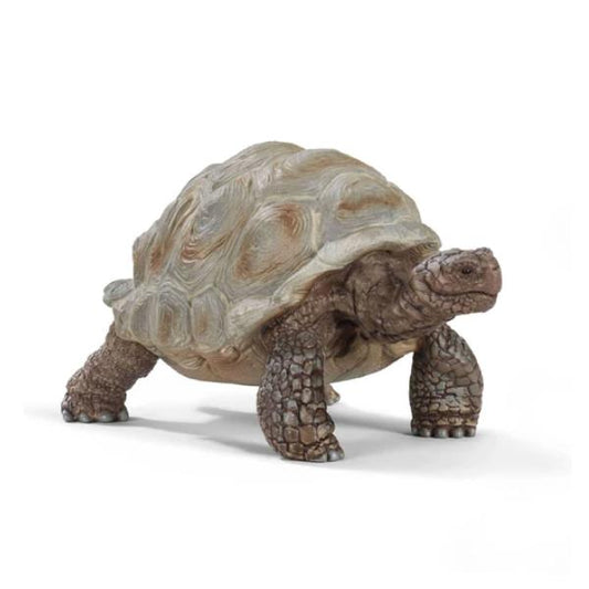 Spielfigur SCHLEICH / Tartaruga Gigante / 1573485_0