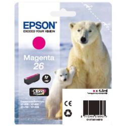 ORSO POLARE (C13T26134012)_0