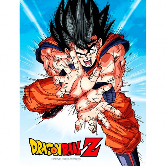 Poster cristal Goku Kame Dragon Ball Z_0