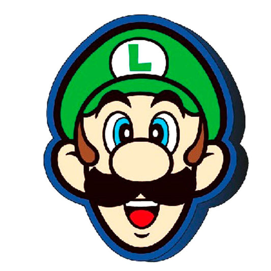Cojin 3D Luigi Super Mario Bros_0