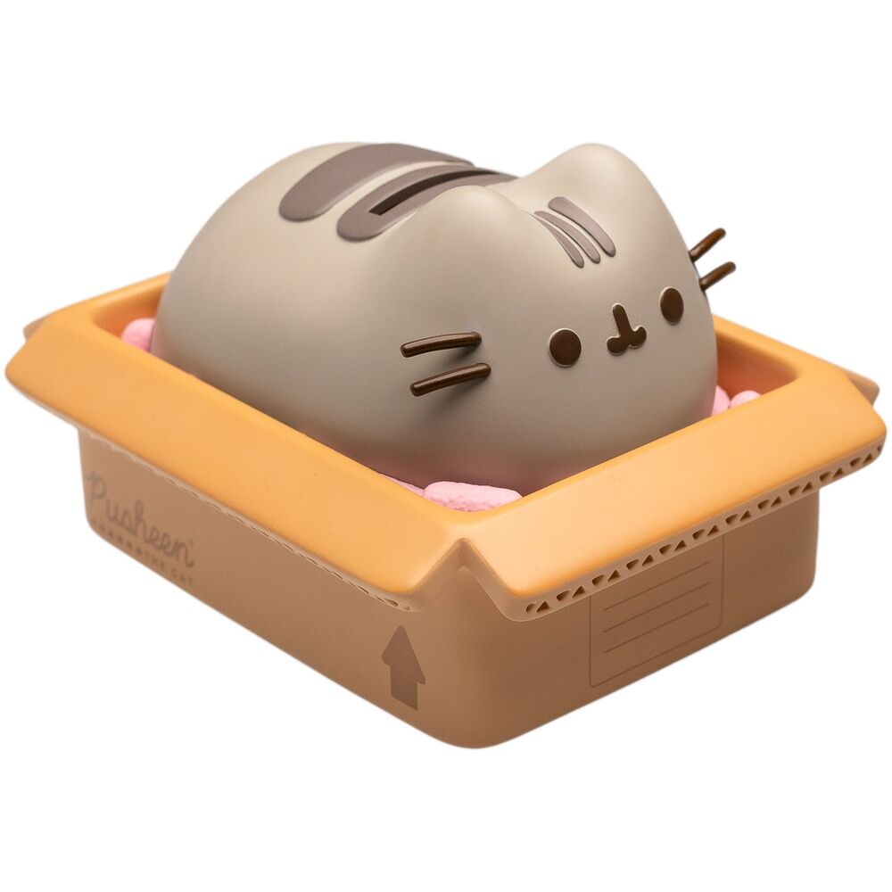 Hucha Pusheen_0
