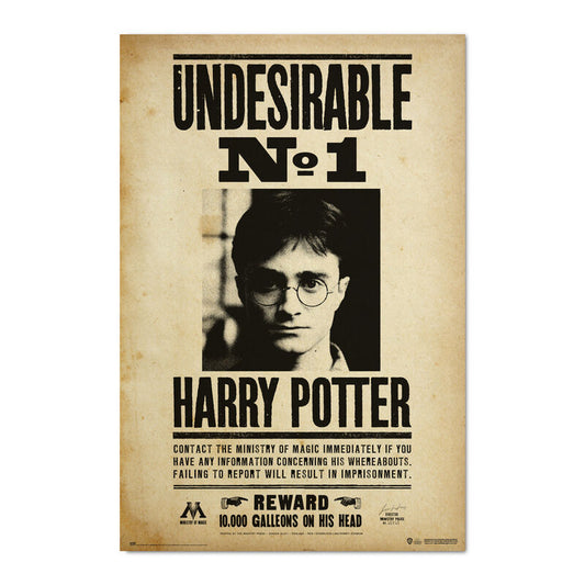 Poster Indeseable Numero 1 Harry Potter_0
