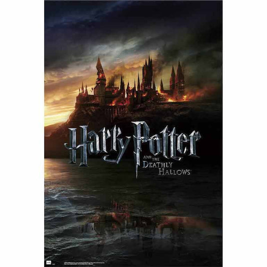 Poster Harry Potter y las Reliquias de la Muerte_0