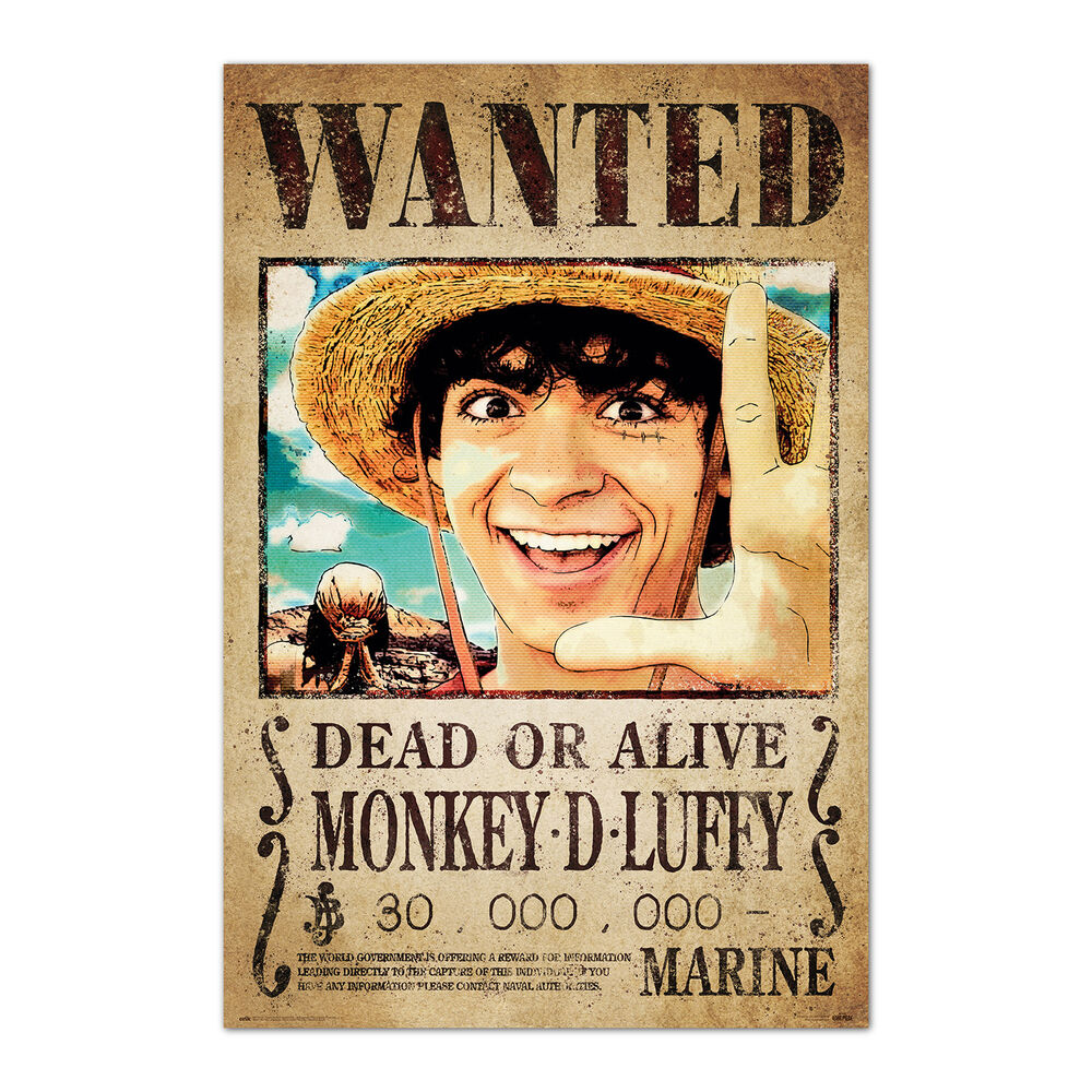 Poster Se Busca Monkey D. Luffy One Piece_0