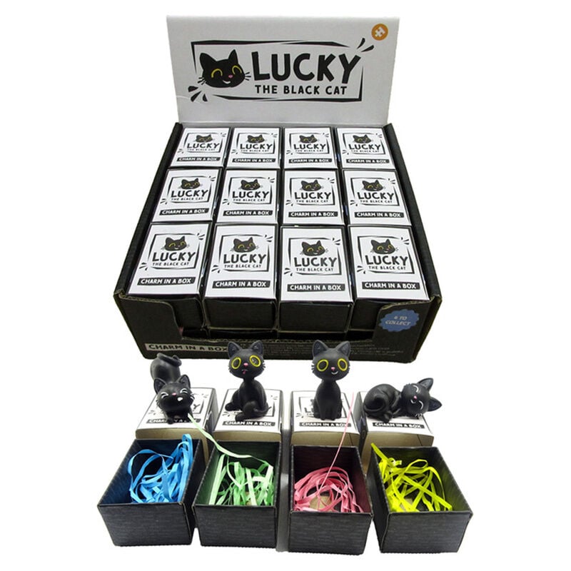 Amuleto en Caja Gato Negro surtido_0