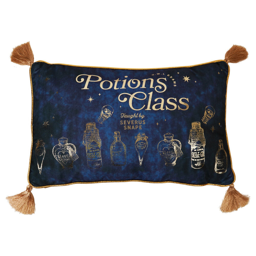 Cojin velvet Potions Class Harry Potter_0