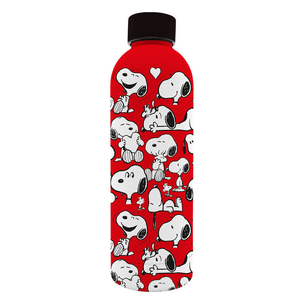 Botella suave acero inoxidable Snoopy Peanuts 800ml_0